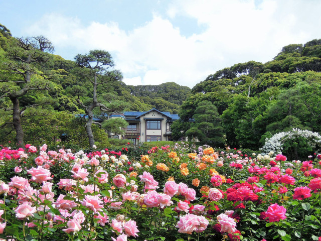 鎌倉文学館